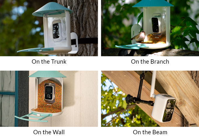 Birdfy-第一款自动人工智能识别喂鸟器相机-Kickstarter喂鸟器