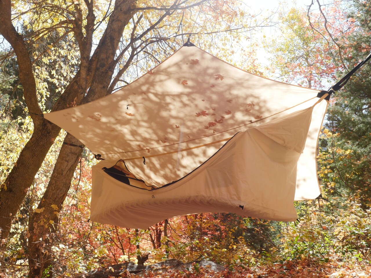 Haven Safari-一体化吊床和帐篷