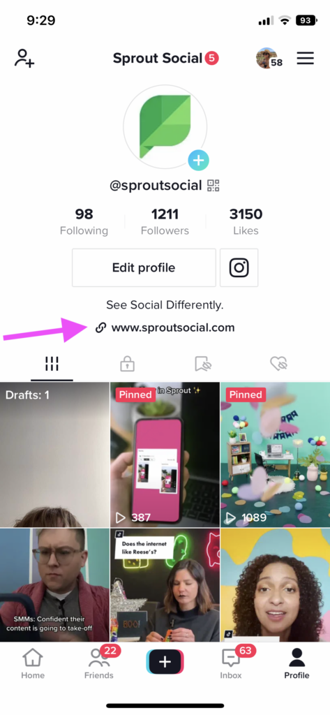 通过手机截取 Sprout Social 的 TikTok 个人资料，其中粉红色箭头直接指向视频源上方的个人简介。
