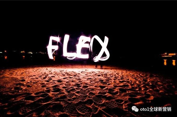 FLEX摄影成片